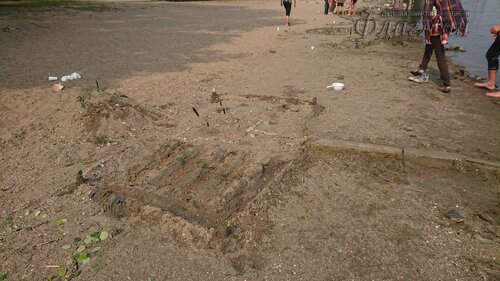 DSC_20220808111814_0247